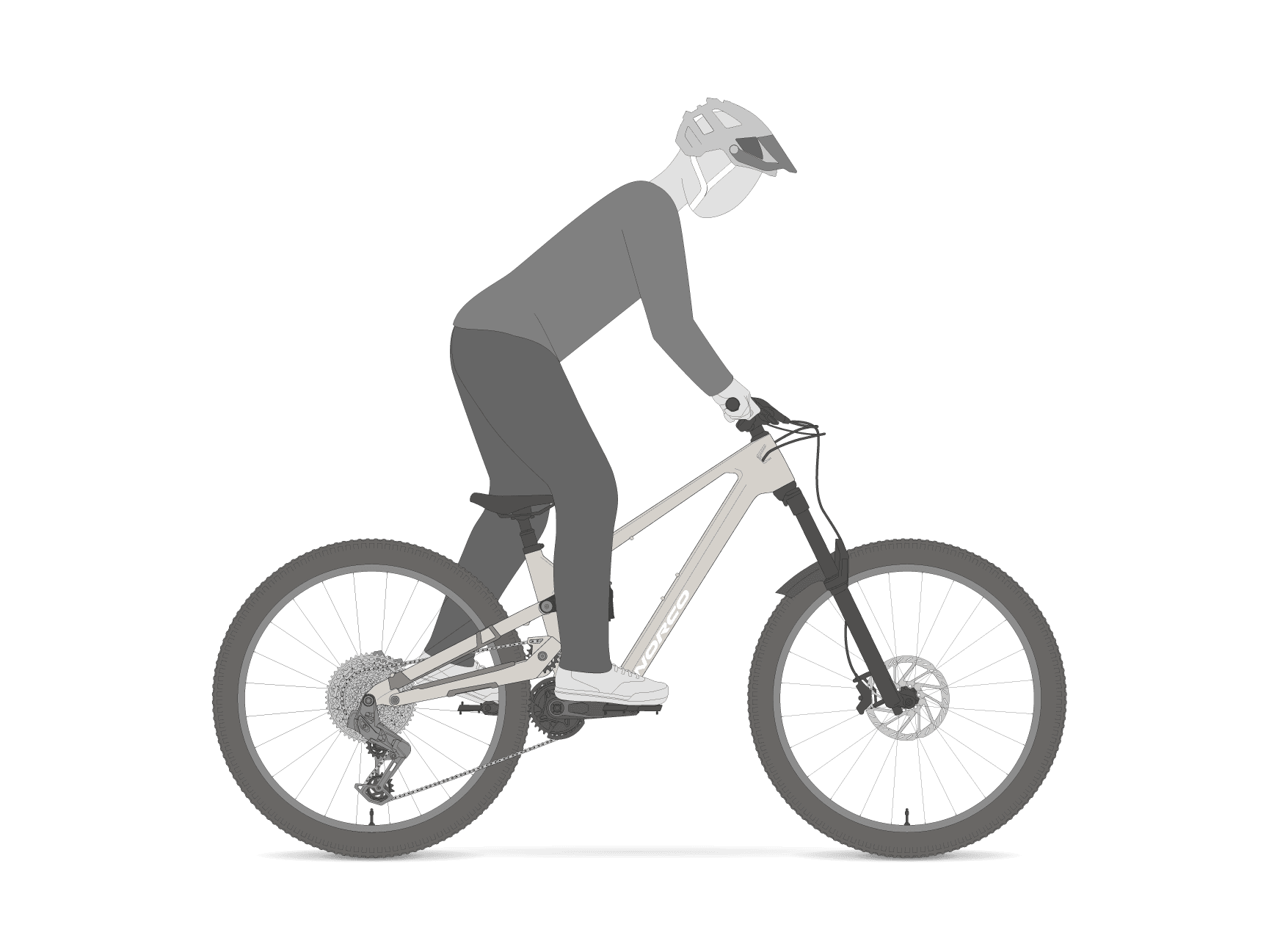 Rider Position Example 4